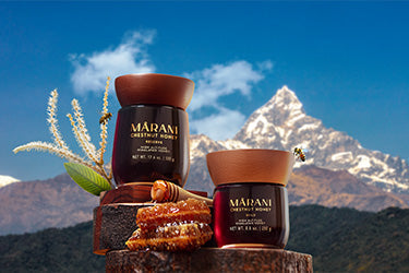 Taste of Honey: How Terroir and Altitude Shape Flavor Profiles