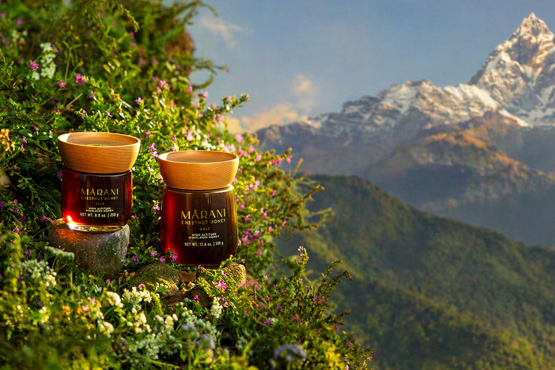 Why Himalayan Honey Is One of the Rarest Honeys in the World