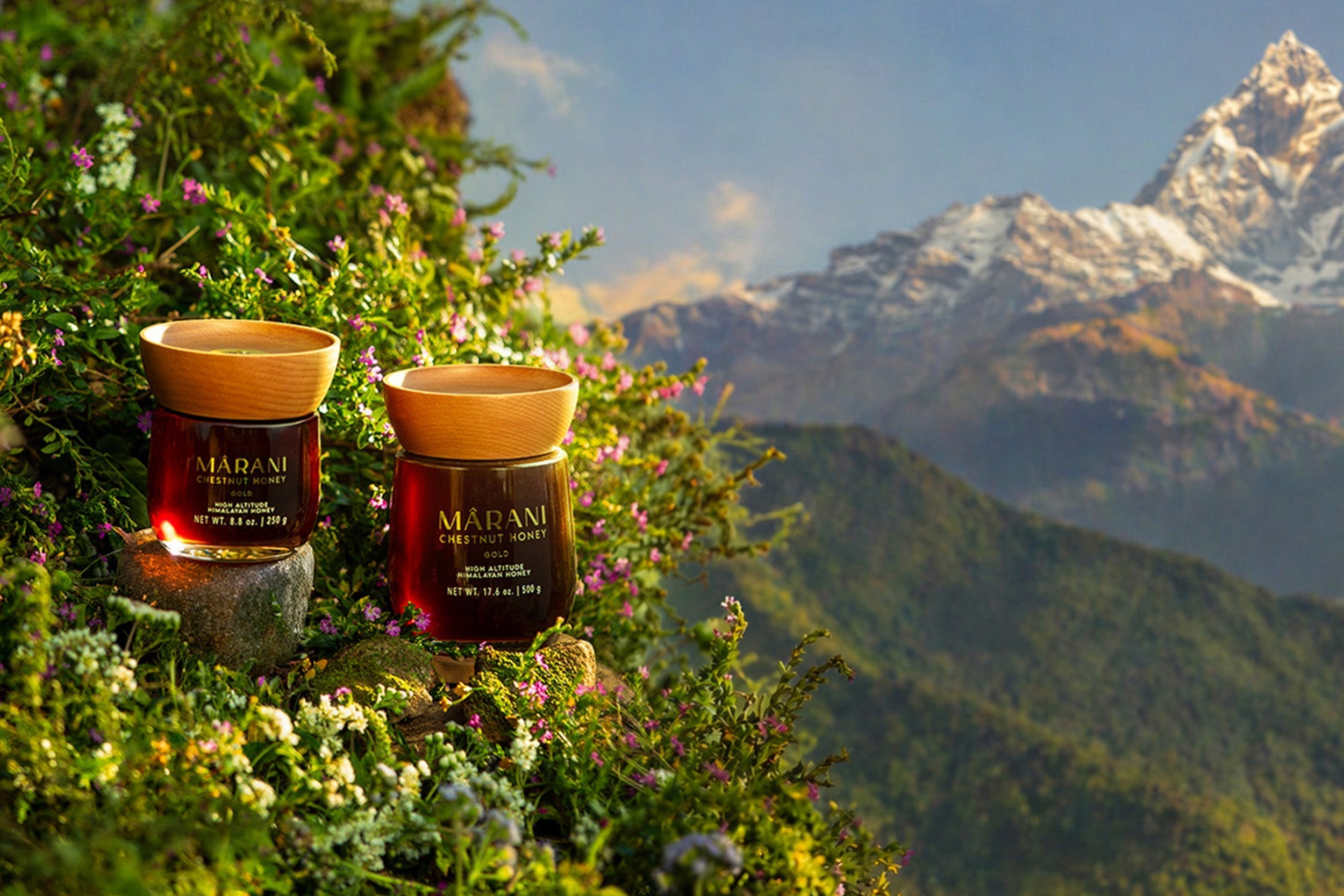 Why Himalayan Honey Is One of the Rarest Honeys in the World