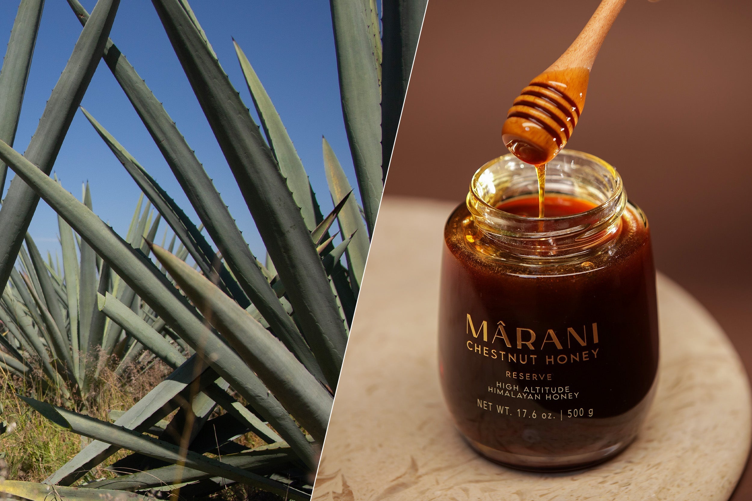 Agave vs. Honey: Is Mârani Honey the Healthier Natural Sweetener?
