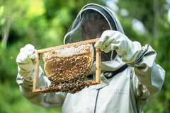 Why Bees Make Honey and How Honey Benefits You