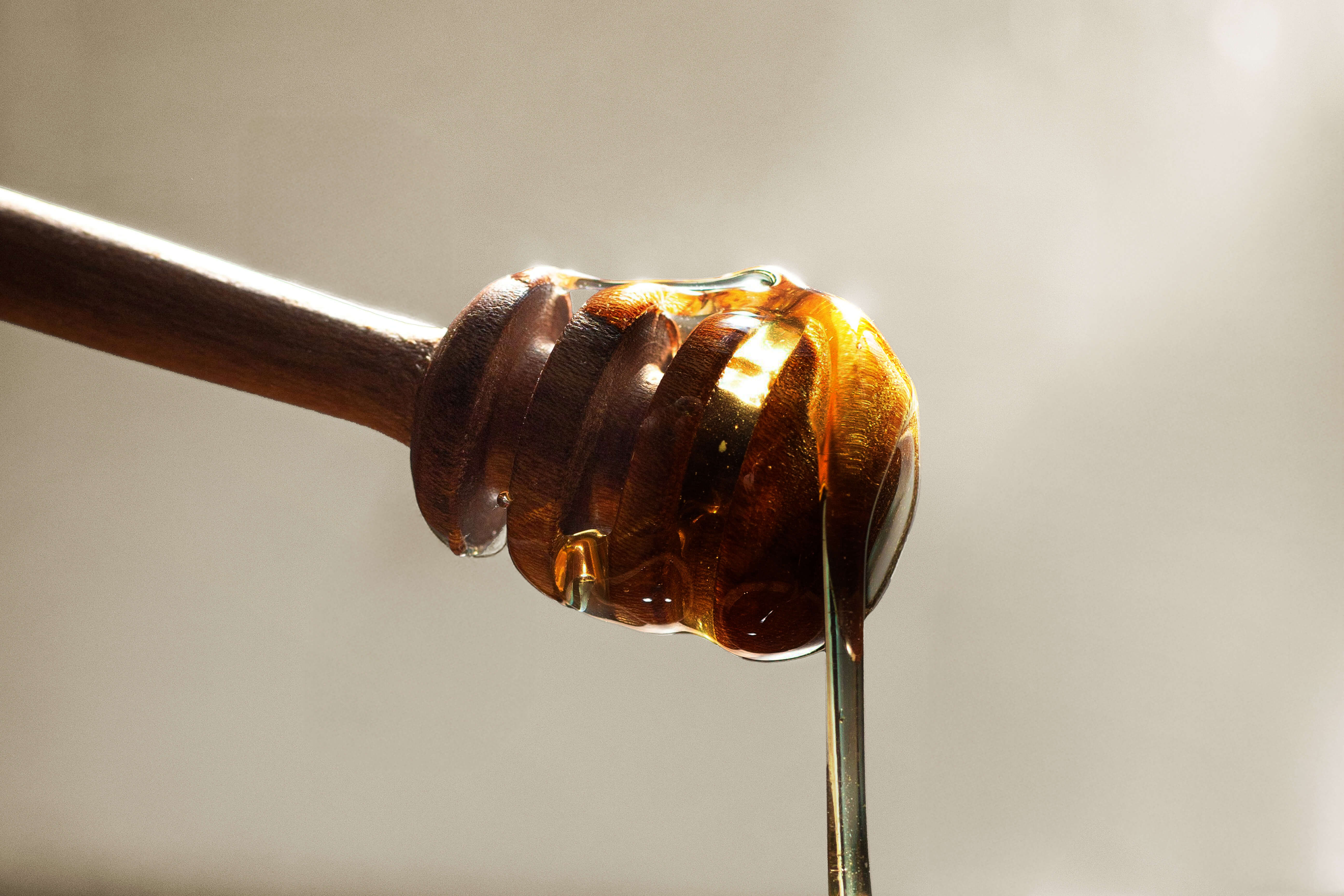 Chestnut Honey Characteristics: Himalayan vs Global Varieties