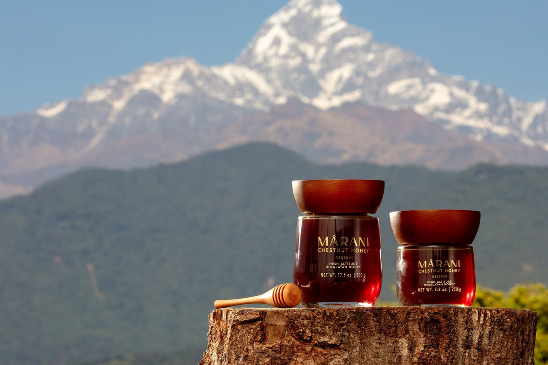 Chestnut Honey Taste: A Full Sensory Guide