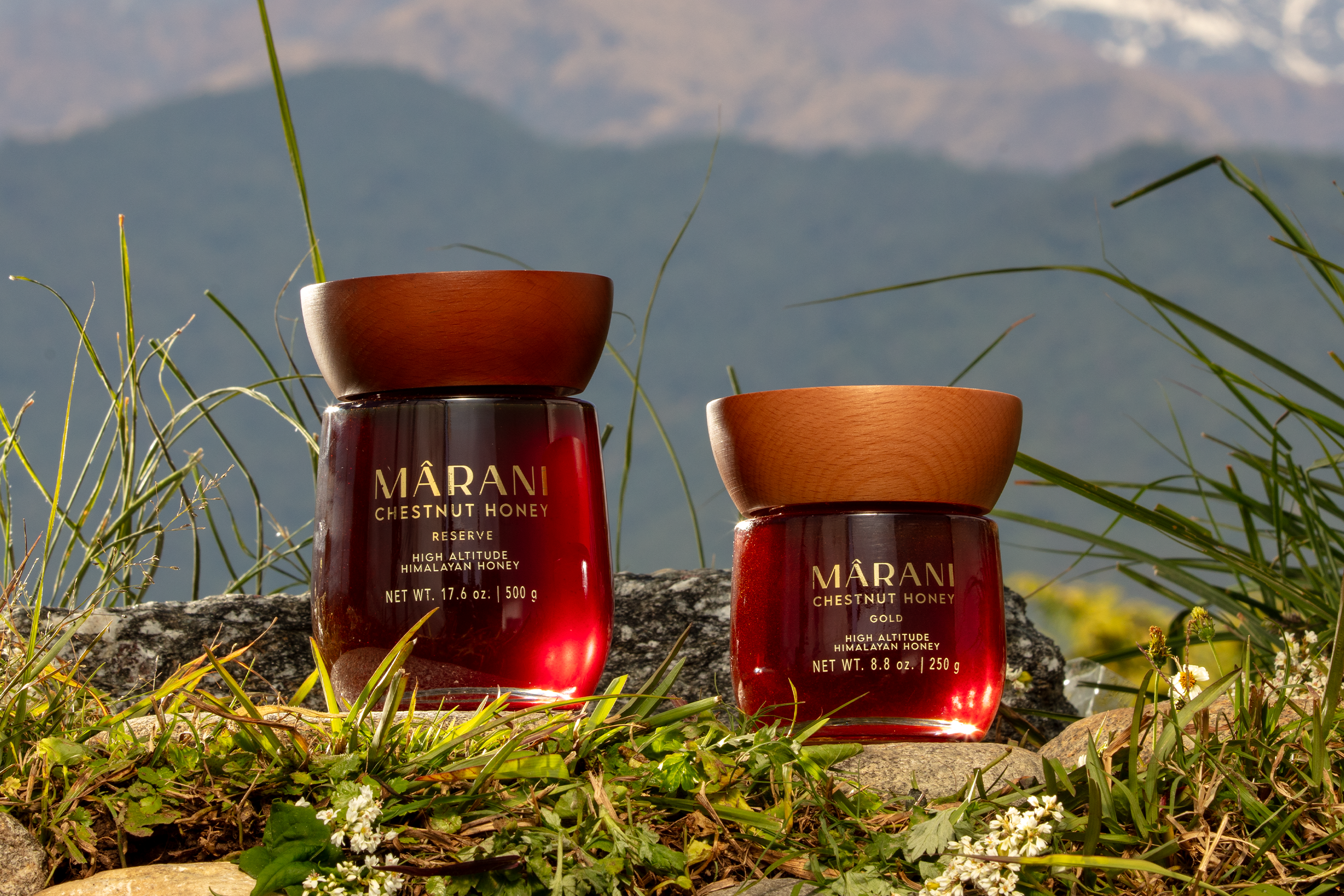 Himalayan Honey Bee Honey: Why Wild Is Better
