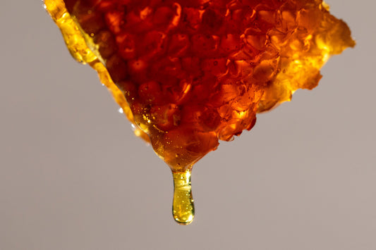 Is Honey a Prebiotic? What the Research Actually Shows