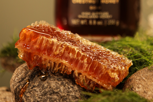 Is Honeycomb Actually Good for You? The Honeycomb Benefits for Health Nobody Talks About