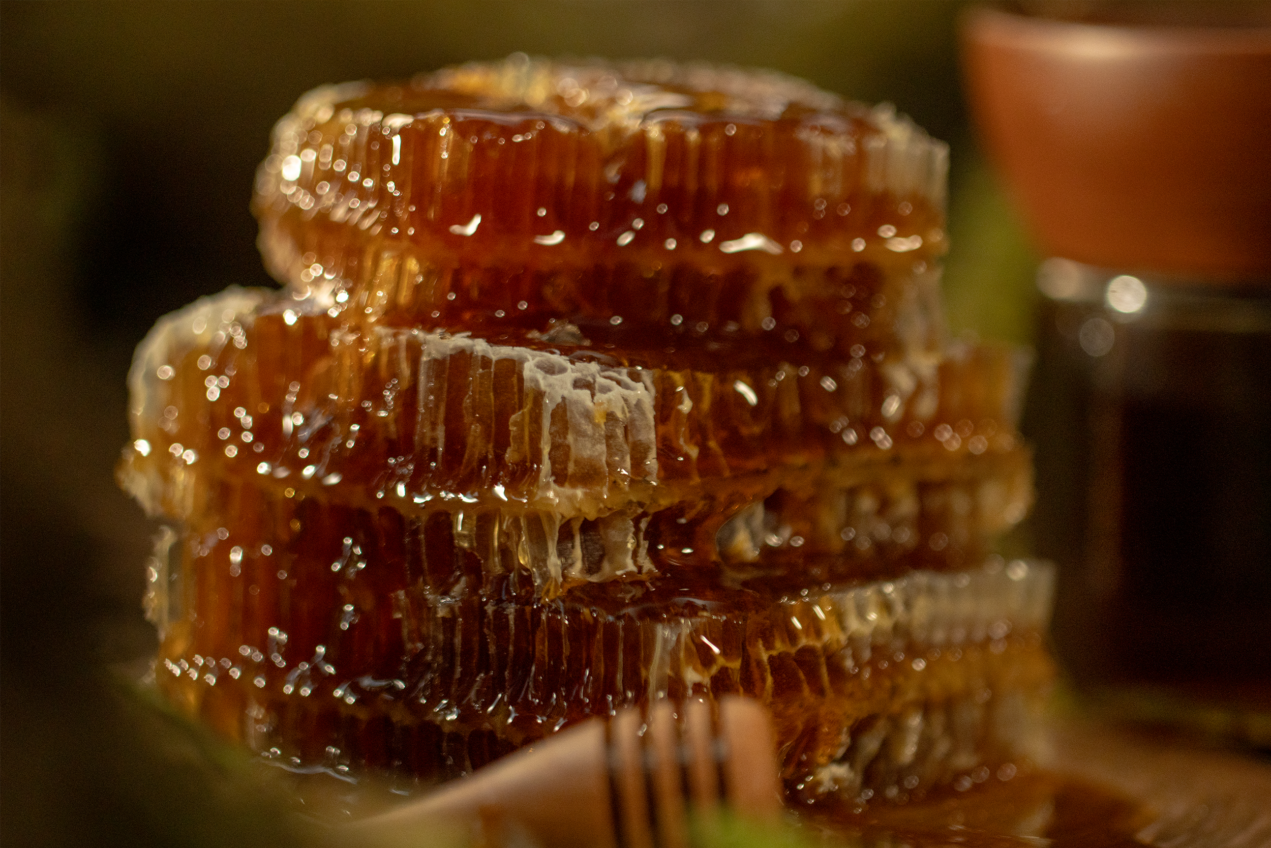 Local Honey vs Single-Origin Premium Honey