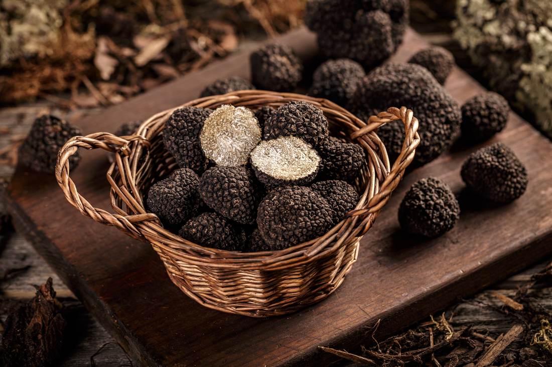 Most Expensive Food: Truffles to Wild Honey