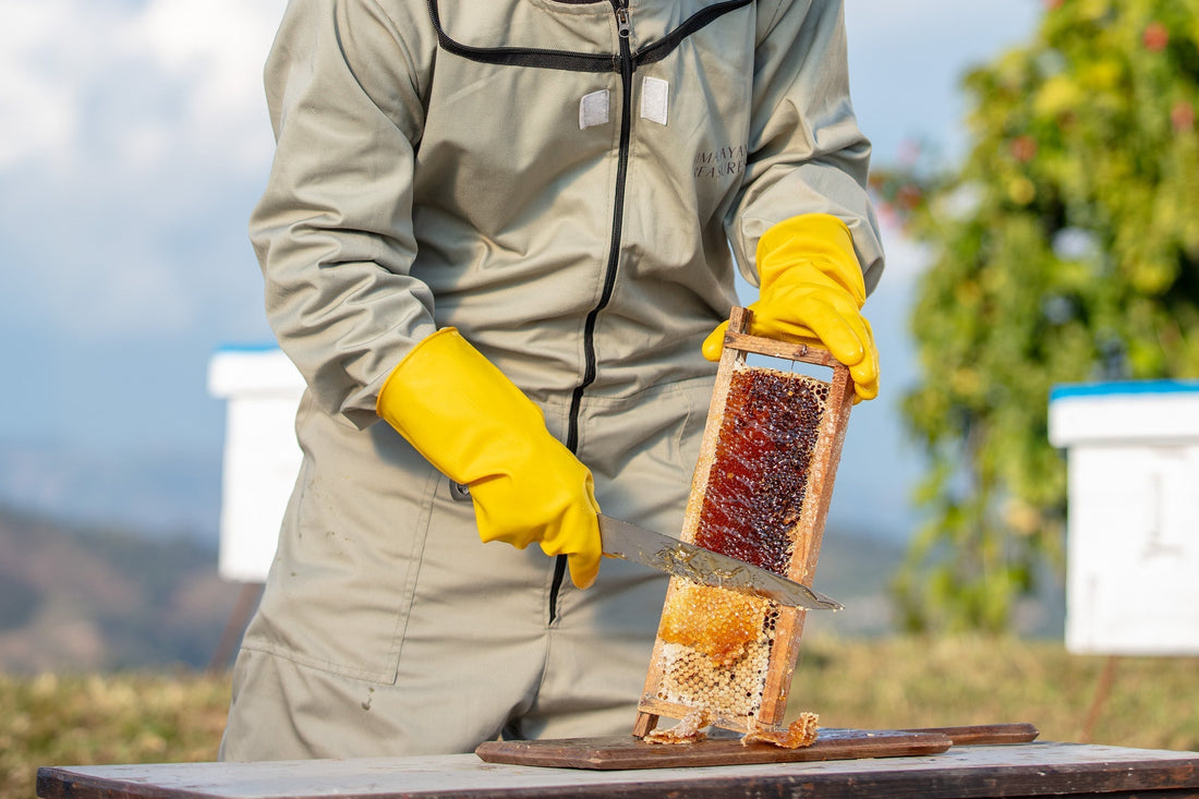 Single Origin Honey: Why Provenance Matters