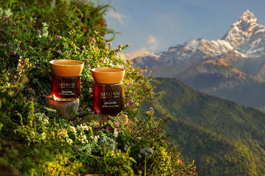 Himalayan Honey Nepal: The Most Traceable Honey