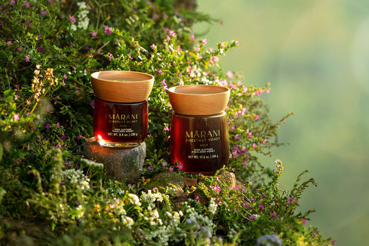 What Is Himalayan Honey? Origin, Taste, and What Makes It Different