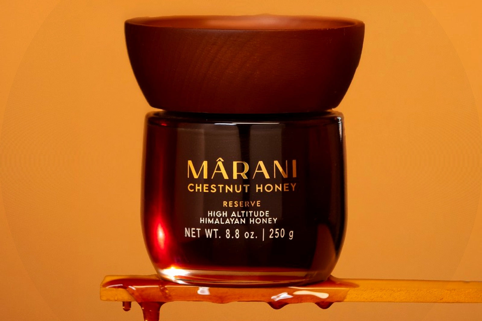 Dark Honey vs. Light Honey Antioxidants: What the Science Really Shows