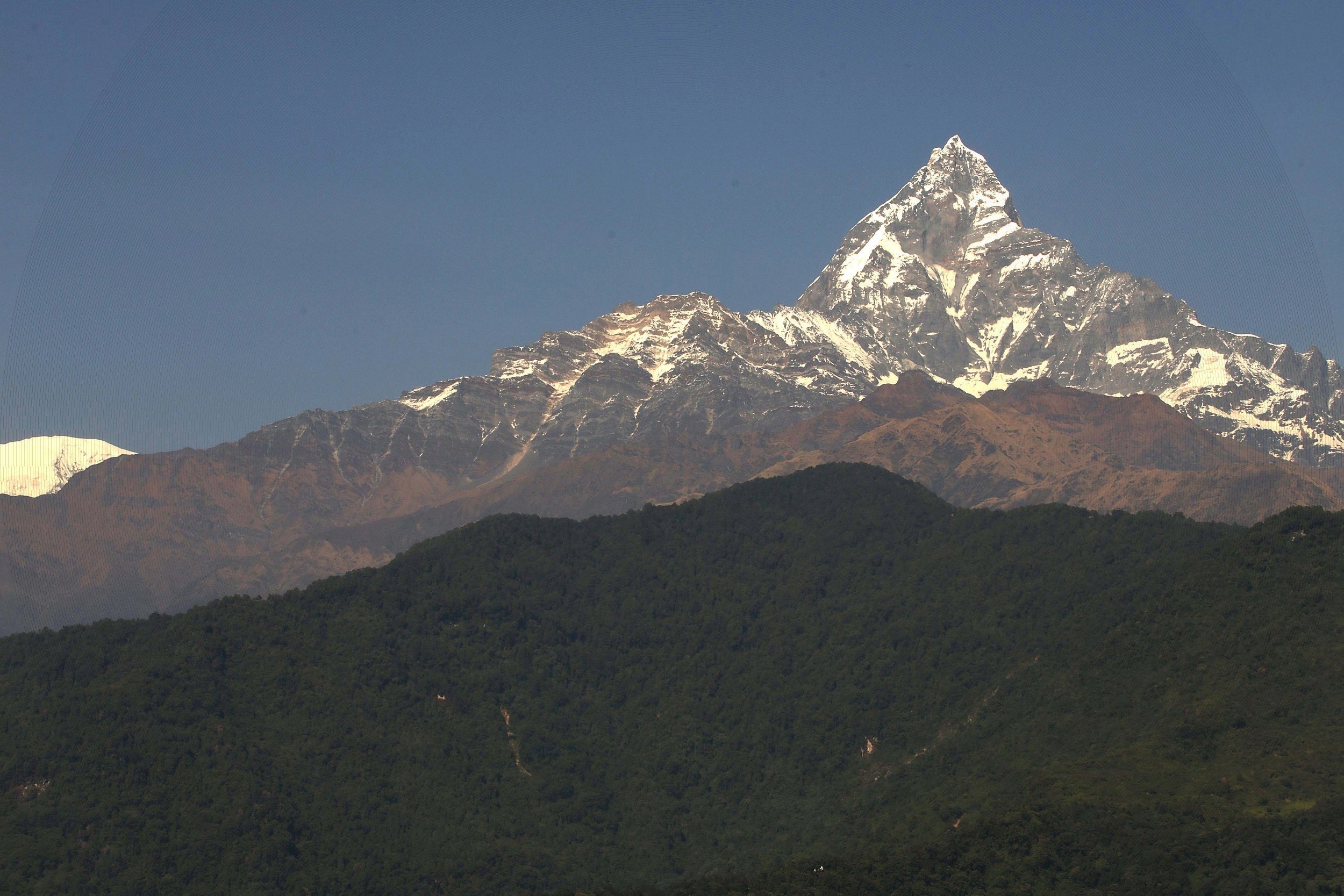 Nepal Honey Heritage: The Mountain Kingdom's Golden Legacy