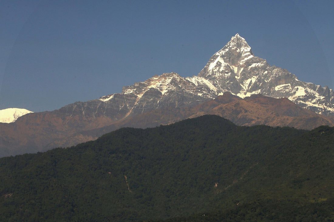 Nepal Honey Heritage: The Mountain Kingdom's Golden Legacy
