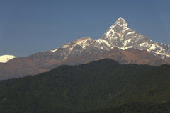 Nepal Honey Heritage: The Mountain Kingdom's Golden Legacy