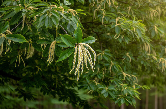 Curation by Nature's Signature