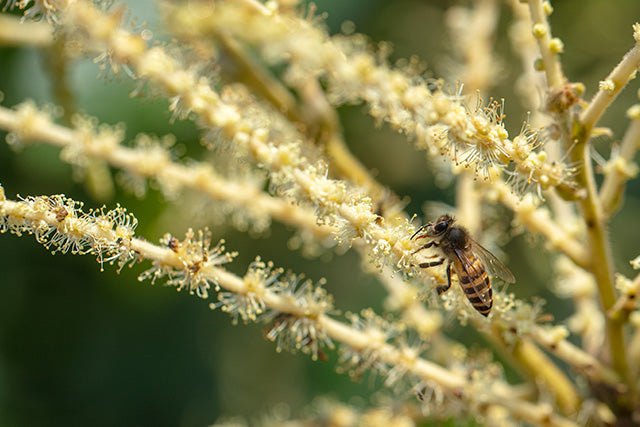 Curation by Nature's Signature