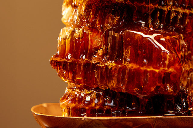 The Art of Preservation