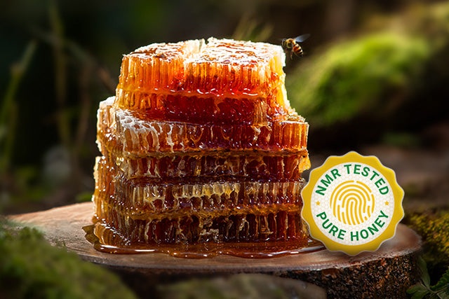 The Unwavering Verification